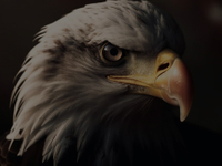  <strong><span style="font-size:40px;">目标</span></strong> 